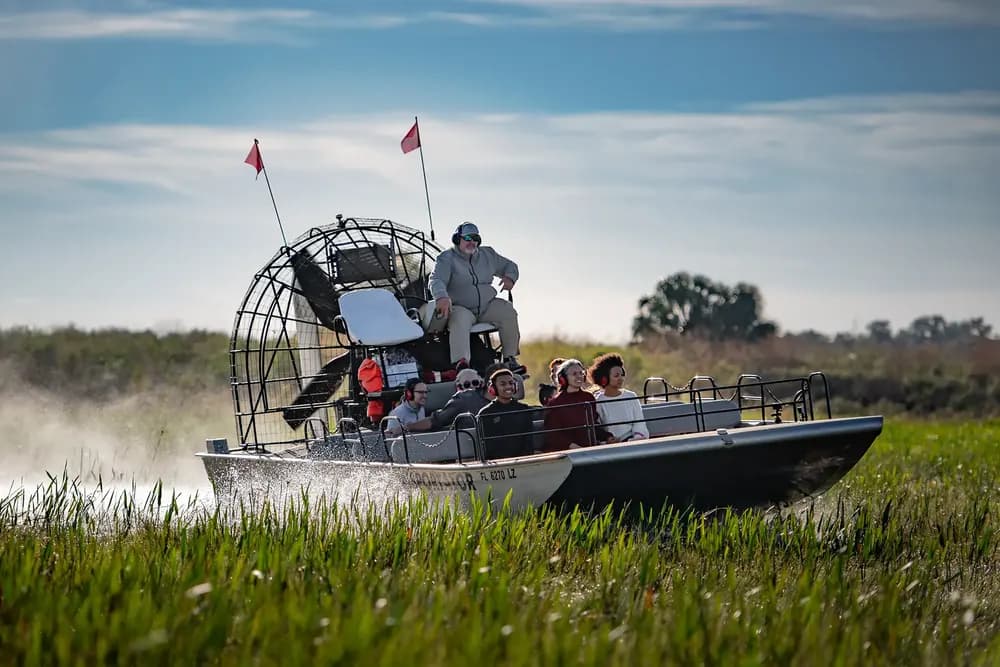 1 Hour Airboat Tour + Highland Cows at Boggy Creek Airboat Adventures, photo 4